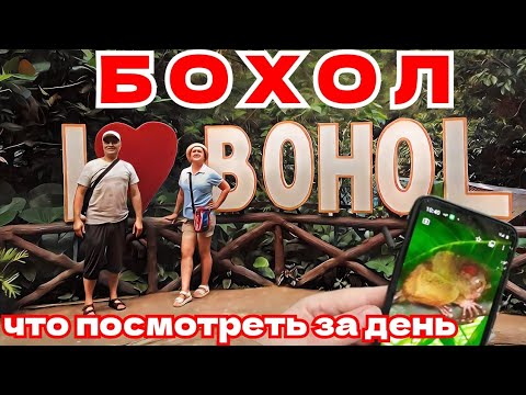 Видео: Филиппины, Бохол - едем смотреть долгопятов и шоколадные холмы / Что здесь можно увидеть за день?