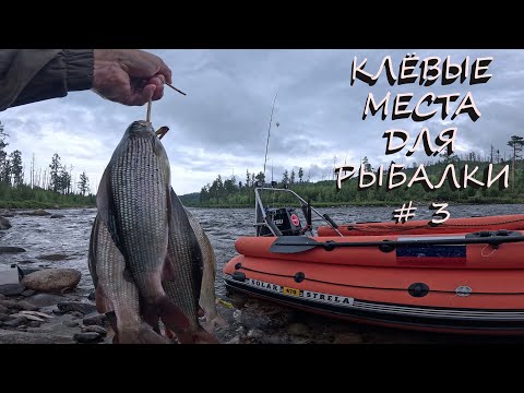 Видео: ХАРИУС С БЕРЕГА И С ЛОДКИ | РЕКА ОБМЕЛЕЛА