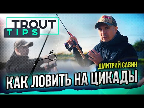 Видео: Как ловить на миницикады (рифранеры). Trout Tips