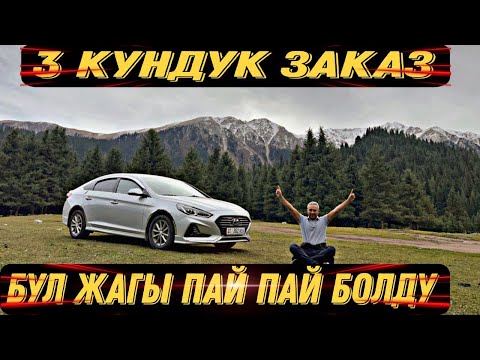 Видео: Яндекс Бишкек! Таксиде иштегенден бери мынчалык жирна биринчи жолу болду.😎😎