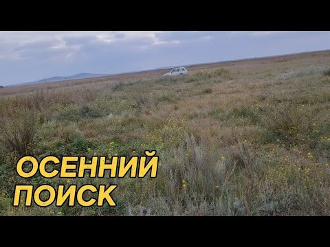 Видео: Осенняя прогулка с металоискателем 