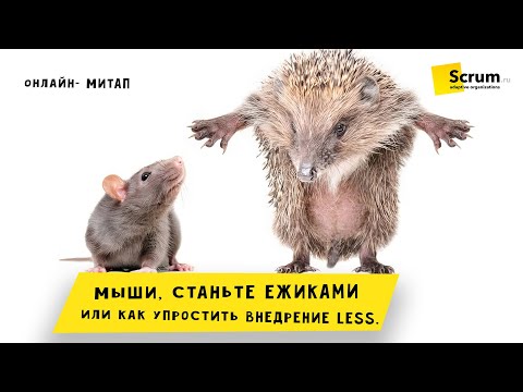 Видео: Митап:  Мыши, Станьте Ежиками Или Как Упростить Внедрение LeSS