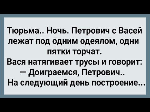 Видео: Как Петрович в Тюрьме Доигрался! Сборник Свежих Анекдотов! Юмор!