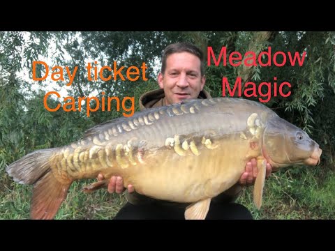 Видео: Coking Farm, Meadow Lake, БОЛЬШОЙ ДНЕВНОЙ БИЛЕТ, ПОПАННЫЙ КАРП,