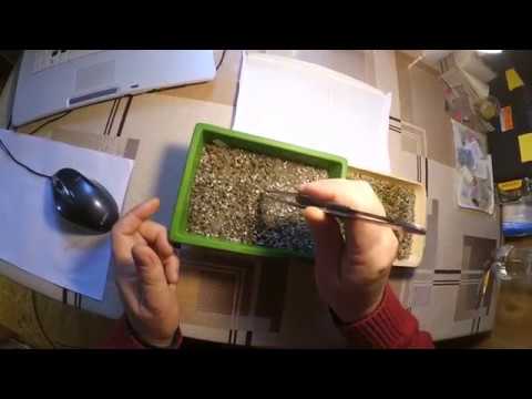 Видео: Пикировка сеянцев кактусов. Как пересадить мелкие сеянцы кактусов?