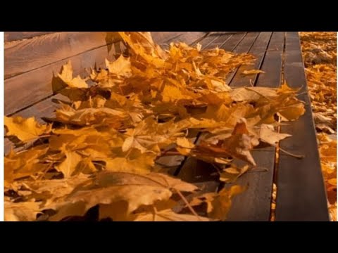 Видео: Обзор моей любимой покупки 👛💰👐. Рассказываю о каникулах. 