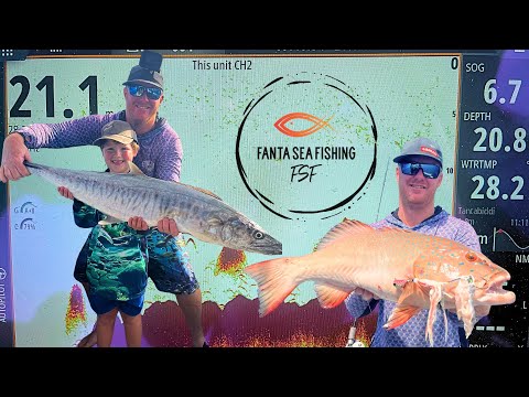 Видео: Ловля испанской макрели и коралловой форели троллингом.