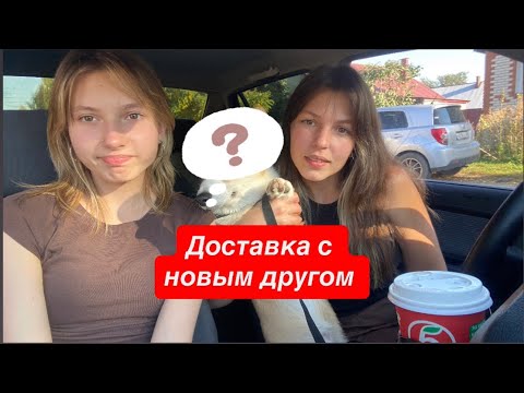 Видео: Я. Доставка . Новый друг 