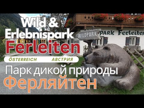 Видео: Австрия Парк дикой природы Ферляйтен   Wild & Erlebnispark Ferleiten Österreich 4K