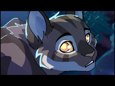 Видео: Коты Воители клип—Bludfire