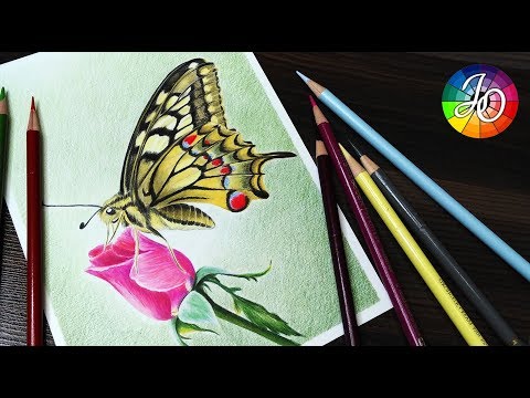 Видео: КАК НАРИСОВАТЬ БАБОЧКУ цветными карандашами (timelapse) Drawing butterfly with colored pencils
