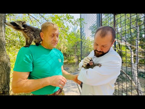 Видео: ШОК! У  нас неожиданно  появились ТОМ и МАЯ!