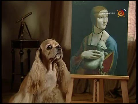 Видео: В музей - без поводка / Леонардо да Винчи "Дама с горностаем"