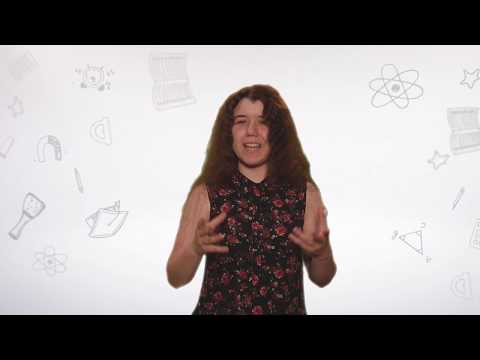 Видео: Разбор ЗЭ по литературе