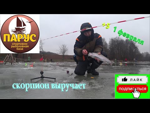 Видео: 1 февраля +5  со льда ПАРУС-ЮГ