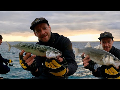 Видео: ЛОВЛЯ СКУМБРИИ НА ПРИМАНКУ | ПОЙМАЙ И ПРИГОТОВЬ | КОПЧЕНАЯ СКУМБРИЯ