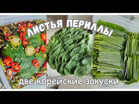 Видео: Корейские Закуски Панчхан из Листьев Периллы (Кеннип)- Маринад и Соленье (2 Рецепта) 깻잎 2 가지 레시피
