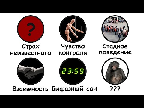 Видео: Инстинкты, которые эволюция не удалила, и ты теперь страдаешь
