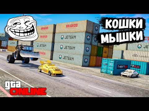 Видео: БОЛЬШИЕ МАЛЕНЬКИЕ КОШКИ МЫШКИ В GTA 5 ONLINE !