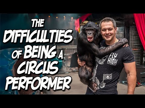 Видео: Артисты Цирка Делятся РЕАЛЬНЫМИ Трудностями Профессии