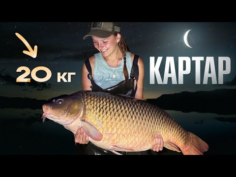 Видео: Короп 20 кг на КарТарі | Наш рекордний трофей