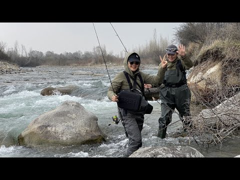 Видео: Рыбалка. Горные чудеса и дикая форель: путешествие по Кыргызстану.