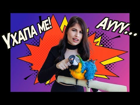 Видео: **Папагалът ме ХАПЕ!!** КАК ДА ГО СПРА!? 3 Метода - 100% УСПЕХ / Stop parrot from biting