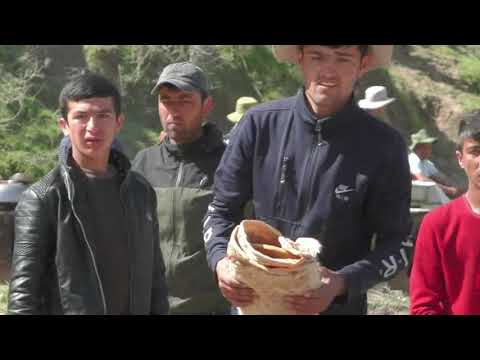Видео: Гуштини одинабои чагатагано саршавиш