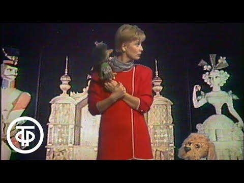 Видео: Спокойной ночи, малыши! Солдат и ведьма. Выпуск 1 (1990)
