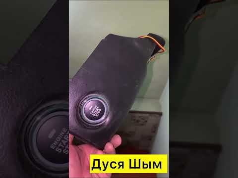 Видео: 13 сентября 2025 г.
