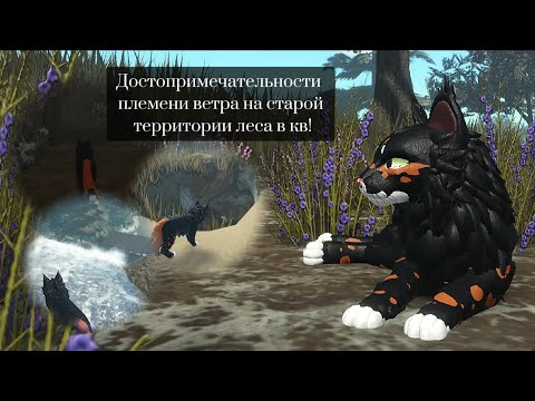 Видео: Достопримечательности племени ветра на старой территории леса в котах воителях!