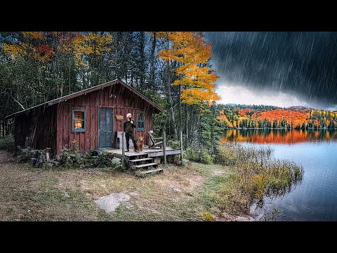 Видео: Холодный осенний ливень в нашем домике в северной глуши