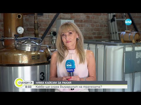 Видео: Защо кайсиевата ракия е на изчезване - Събуди се (17.09.2023)