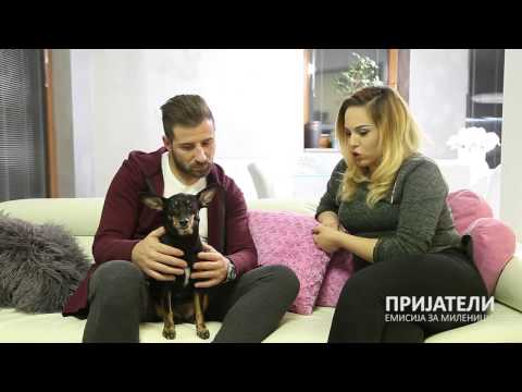 Видео: ПРИЈАТЕЛИ емисија за миленичиња - Јоце Панов со пинч и Анима мунди