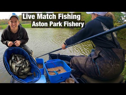Видео: Рыбалка вживую: Aston Park Fisheries – озеро Стейбл