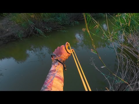 Видео: Қауіпті ЖЫЛАНБАЛЫҚ! Рогаткамен БАЛЫҚ АУЛАУ!
