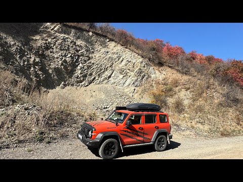 Видео: 🧡ТигрТанк изучает новые места. Бутаковка. Ищем березовую рощу. 