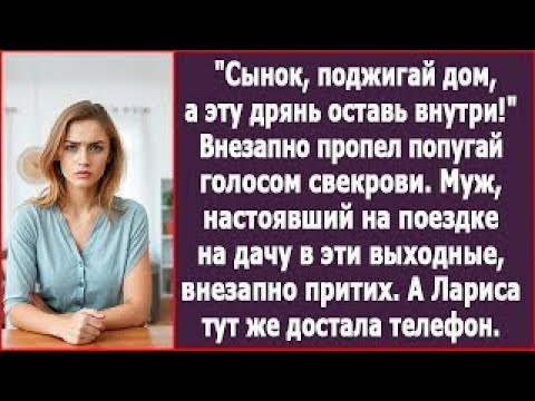 Видео:  Дом, в котором попугай говорил голосом мёртвой свекрови, и ночь превратилась в ад
