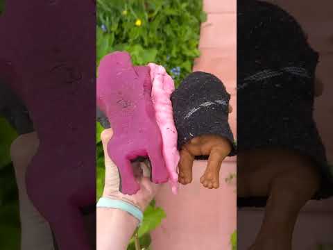 Видео: гуляю с сквиши собачками на даче