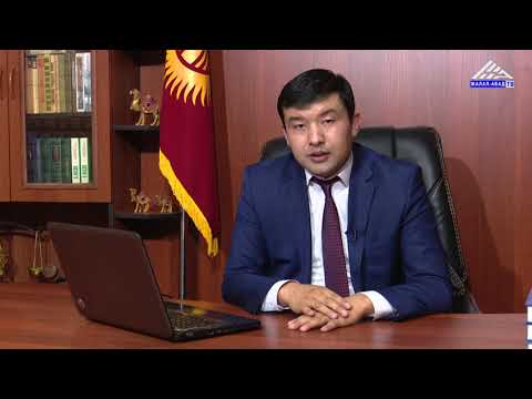 Видео: Кошунамдын дарагы менин уйумо залакасын тийгизип жатат, кимге кайрылам?