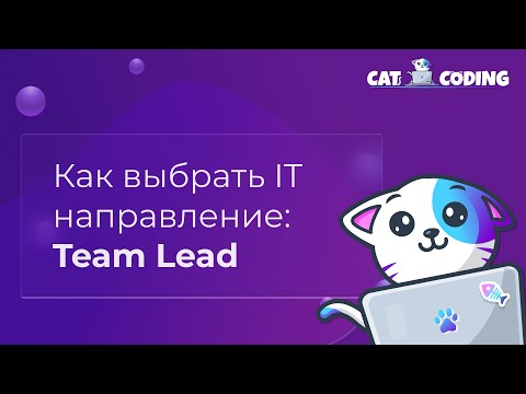 Видео: Как стать успешным Team Lead? Навыки, советы и секреты профессии лидера команды — CatCoding #TL #IT