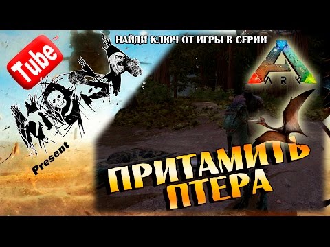 Видео: АРК Приручение птера | ARK Survival Evolved