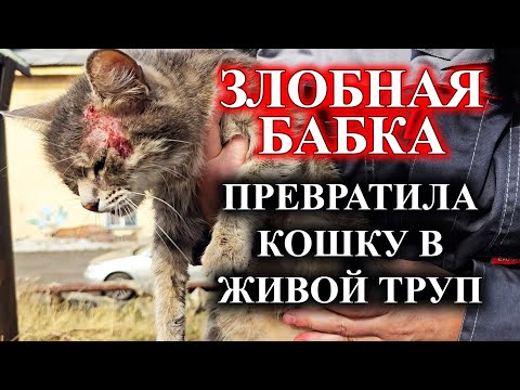 Видео: Вышвырнула ее на улицу умирать.