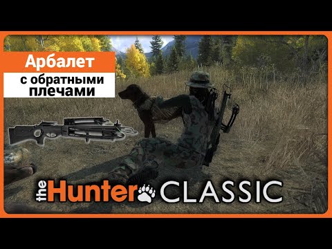 Видео: Арбалет с обратными плечами в theHunter Classic !