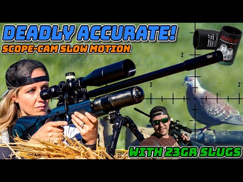 Видео: Смертельно точно! | FX Crown MKII | Борьба с вредителями из пневматического оружия | Пули 23 гран...