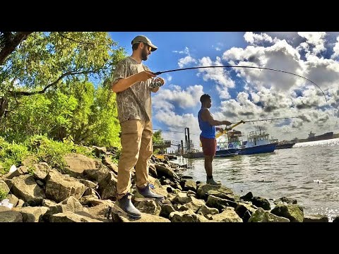 Видео: Ловля рыбы при каждом забросе на берегу реки Миссисипи