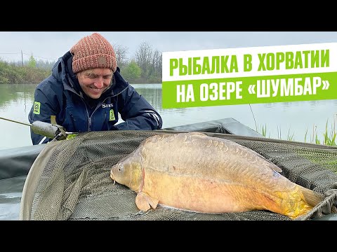 Видео: РЫБАЛКА В ХОРВАТИИ на озере "ШУМБАР"