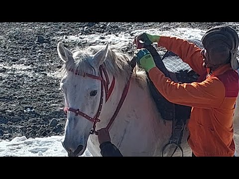 Видео: СОДИҚ ЧОВАНДОЗ-САБЗИХАРФ/ ОЛГАН ОХИР / БО АСПИ ФИРДАВС ЧОВАНДОЗ
