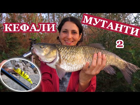 Видео: Риболов на Речни КЕФАЛИ-МУТАНТИ на Марица Част 2! Нов Личен Рекорд/ Chubs-Mutants Fishing on River