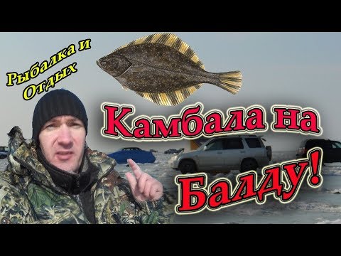 Видео: Рыбалка в Тавричанке на Камбалу! Ловим Камбалу на Балду! Камбала!